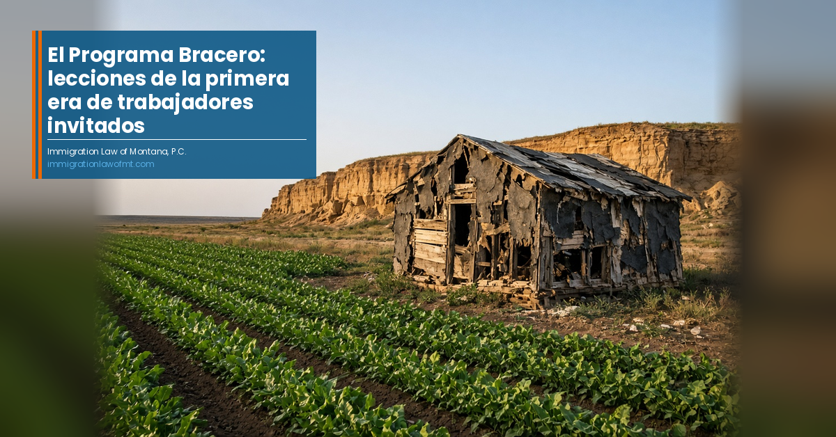 Una choza de papel alquitranado de la época bracero, a punto de caerse, sigue en pie al borde de un campo joven de remolacha azucarera bajo los acantilados de Billings: la vivienda que las inspecciones actuales del programa H-2A buscan impedir.