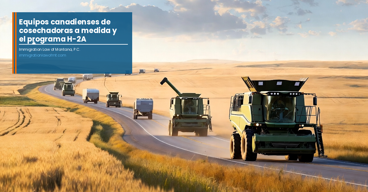 Cosechadoras en un camino rural entre campos de trigo dorado, con el título “Equipos canadienses de cosechadoras a medida y el programa H-2A”